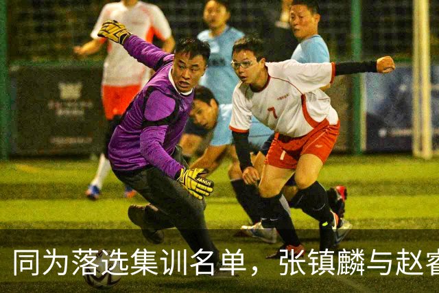 同为落选集训名单，张镇麟与赵睿的境遇差异何在？