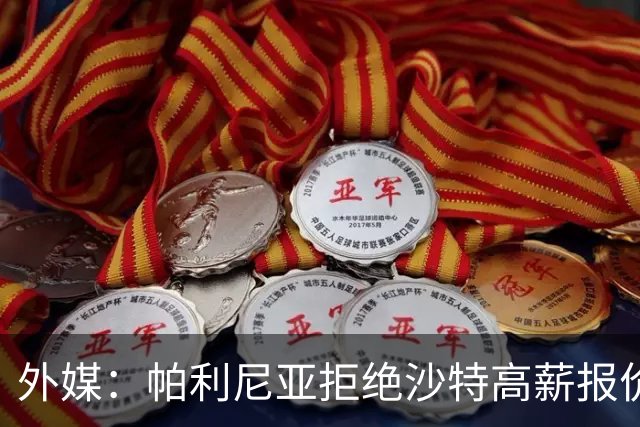 外媒：帕利尼亚拒绝沙特高薪报价，他想留在欧洲+愿回归葡超