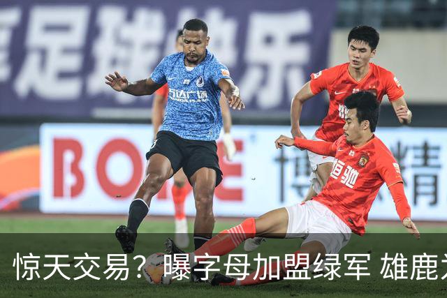 惊天交易？曝字母加盟绿军 雄鹿为布朗寻找第三方