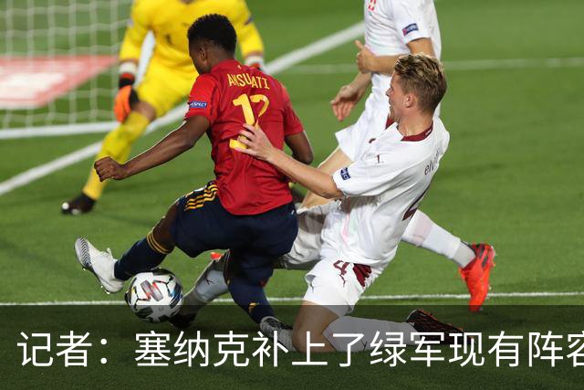 记者：塞纳克补上了绿军现有阵容的防守短板 但他在进攻端偏软