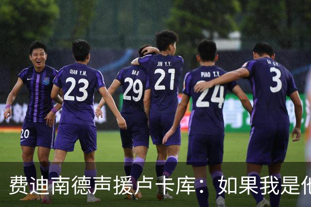 费迪南德声援卢卡库：如果我是他 我可能会疯