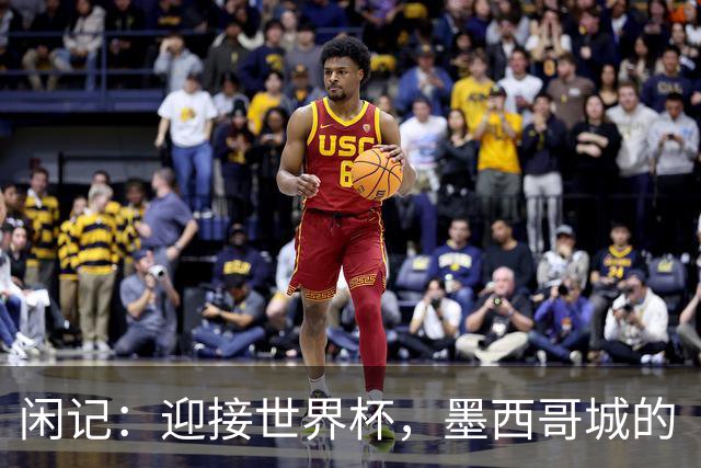 闲记：迎接世界杯，墨西哥城的“蝾螈化”实验